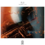 Обложка для Rui - Fuji (Original Mix)