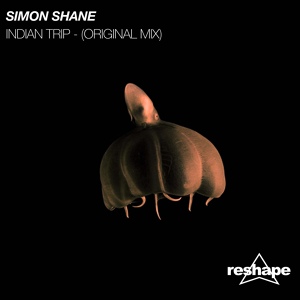 Обложка для Simon Shane - Indian Trip