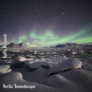 Обложка для Steve Brassel - Arctic Soundscape, Pt. 1