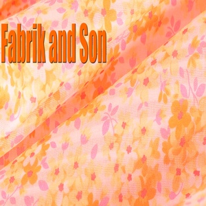Обложка для Fabrik and Son - Parade