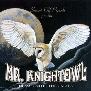 Обложка для Mr. Knightowl feat. Slush the Villain - I Wanna Fuck Me Some Hoes