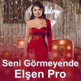 Обложка для Elsen Pro - Seni Gormeyende