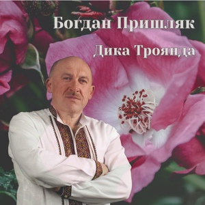 Обложка для Богдан Пришляк - Не Любиш Ти