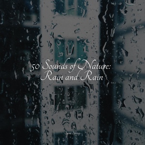 Обложка для Smart Baby Lullaby, Guided Meditation Music Zone, Rain Forest FX - Rain, Nature, Medium, Light Wind