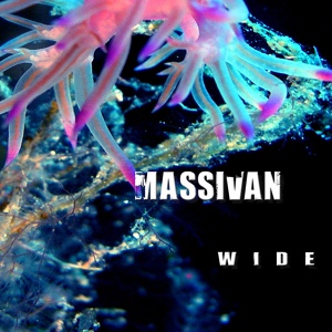 Обложка для Massivan - One Of Those Days