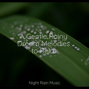 Обложка для Study Music & Sounds, Sounds Of Nature : Thunderstorm, Rain, Baby Sleep Lullaby Academy - Rain and Thunder
