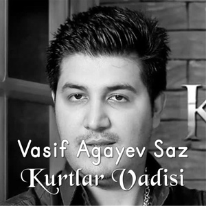 Обложка для Vasif Agayev Saz - Kurtlar Vadisi