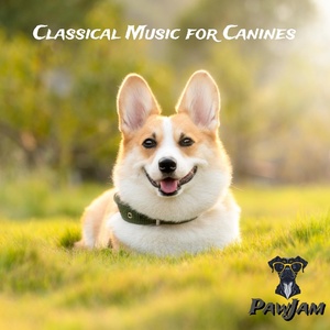 Обложка для PawJam - Ballad of the Begging Bulldogs