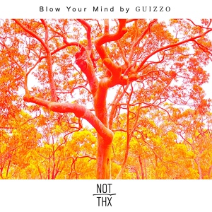 Обложка для Guizzo - Blow Your Mind