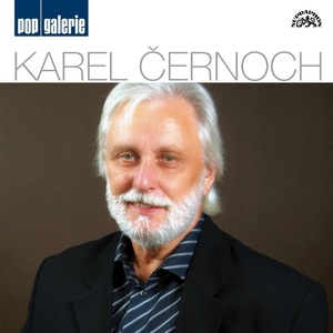 Обложка для Karel Černoch - Píseň Pro Syna