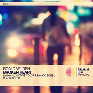 Обложка для Roald Velden - Broken Heart