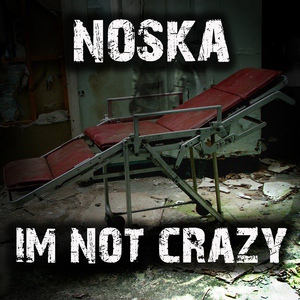 Обложка для Noska - I'm Not Crazy