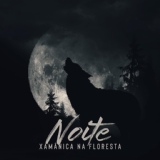 Обложка для Native Shamanic Zone, Native American Music Consort - Xamã Solitário