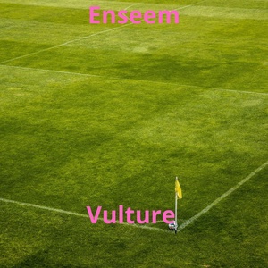 Обложка для Enseems - Vulture