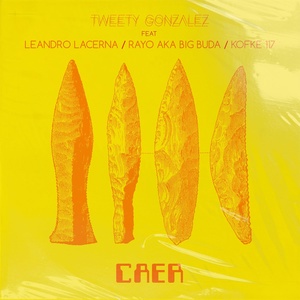 Обложка для Tweety Gonzalez feat. Leandro Lacerna, Rayo aka Big Buda, Kofke 117 - Caer