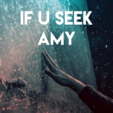 Обложка для Sassydee - If U Seek Amy