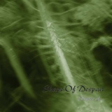Обложка для Shape Of Despair - Sylvan-Night