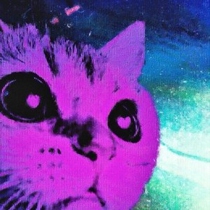 Обложка для SXDRXQ, vino3 - Neon Cat
