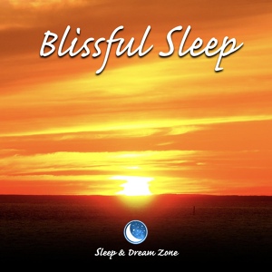 Обложка для Sleep & Dream Zone - Silver Lining