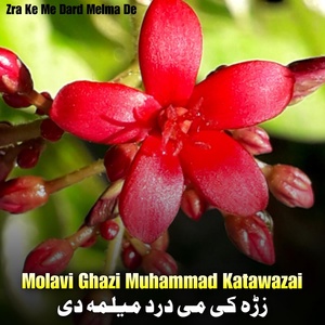 Обложка для Molavi Ghazi Muhammad Katawazai - Pa Makh Ke De Khkula