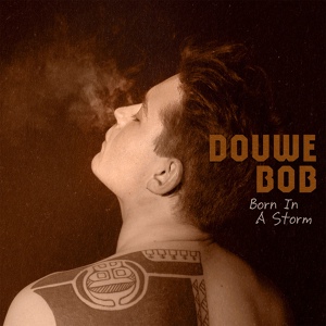 Обложка для Douwe Bob - Multicoloured Angels