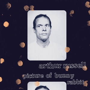 Обложка для Arthur Russell - In The Light Of A Miracle
