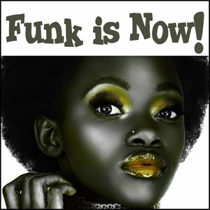 Обложка для Disko Killers - Funky Train (feat. LL)