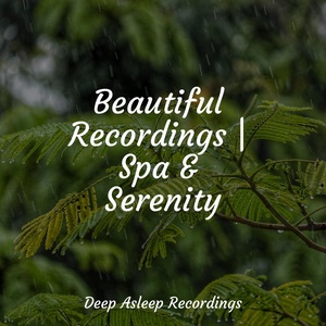 Обложка для Wellness, Sleep Waves, Lullabies for Deep Meditation - Spring