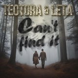 Обложка для Teotora feat. LETA - Can't Find It