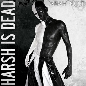 Обложка для Adam Kult - Dark Friday