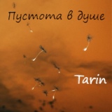 Обложка для Tarin - Пустота в душе