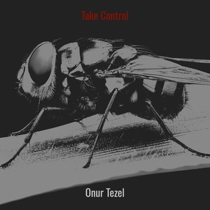 Обложка для Onur Tezel - Take Control