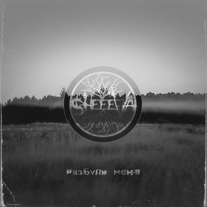 Обложка для SHEEEVA - Разбуди Меня