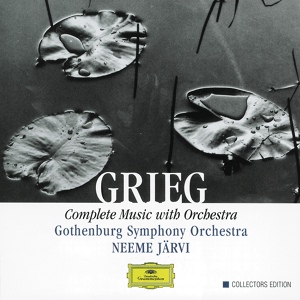 Обложка для Lilya Zilberstein, Gothenburg Symphony Orchestra, Neeme Järvi - Grieg: Piano Concerto in A minor, Op. 16 - 1. Allegro molto moderato