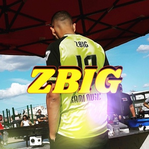 Обложка для Zbig - DLG 6
