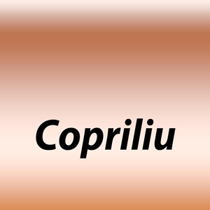Обложка для Copriliu - Bustrala
