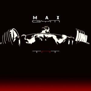 Обложка для Max Gym - Section 13