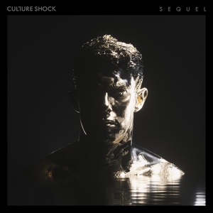 Обложка для Culture Shock - Lost
