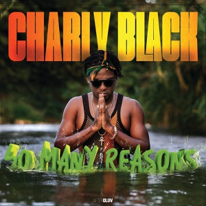Обложка для Charly Black, Sak Noel - Diggy Dee