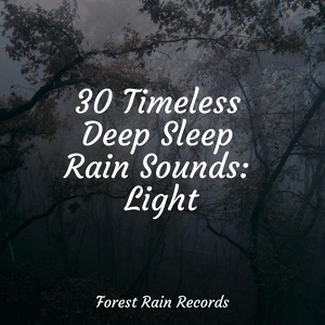 Обложка для Sleep Meditation Dream Catcher, Música Zen Relaxante, Rain - Forest Ambience, Strong Wind, Rain