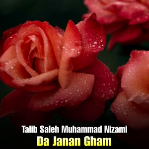 Обложка для Talib Saleh Muhammad Nizami - Der Pa Ta Shahida Wo