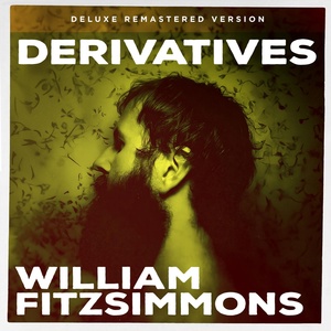 Обложка для William Fitzsimmons feat. Brooke Fraser - I Don't Feel It Anymore