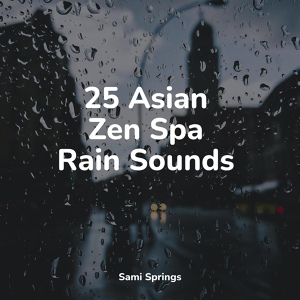 Обложка для Regen zum Schlafen, Instrumental, Wave Sound Group - Downpour Rain
