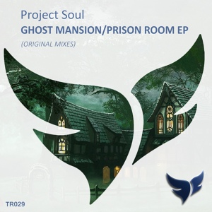 Обложка для Project Soul - Ghost Mansion