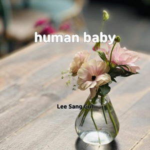 Обложка для Lee sang gul - disco lullaby