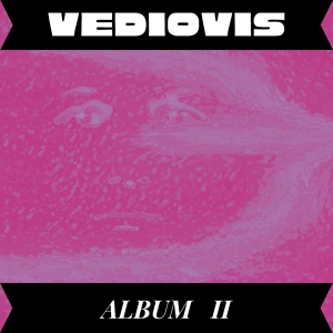 Обложка для Vediovis - Live After Death