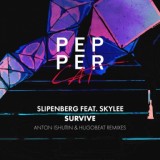 Обложка для Slipenberg, Skylee - Survive (Hugobeat Remix) YL