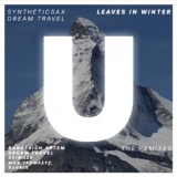 Обложка для Syntheticsax, Dream Travel - Leaves In Winter