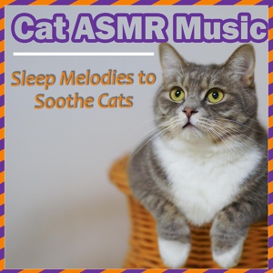 Обложка для Relax My Cat, Cat Music Zone - Peace Track