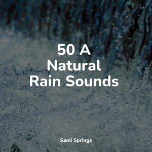 Обложка для Weather Sounds, Binaural Creations, Namaste Healing Yoga - Rains Above